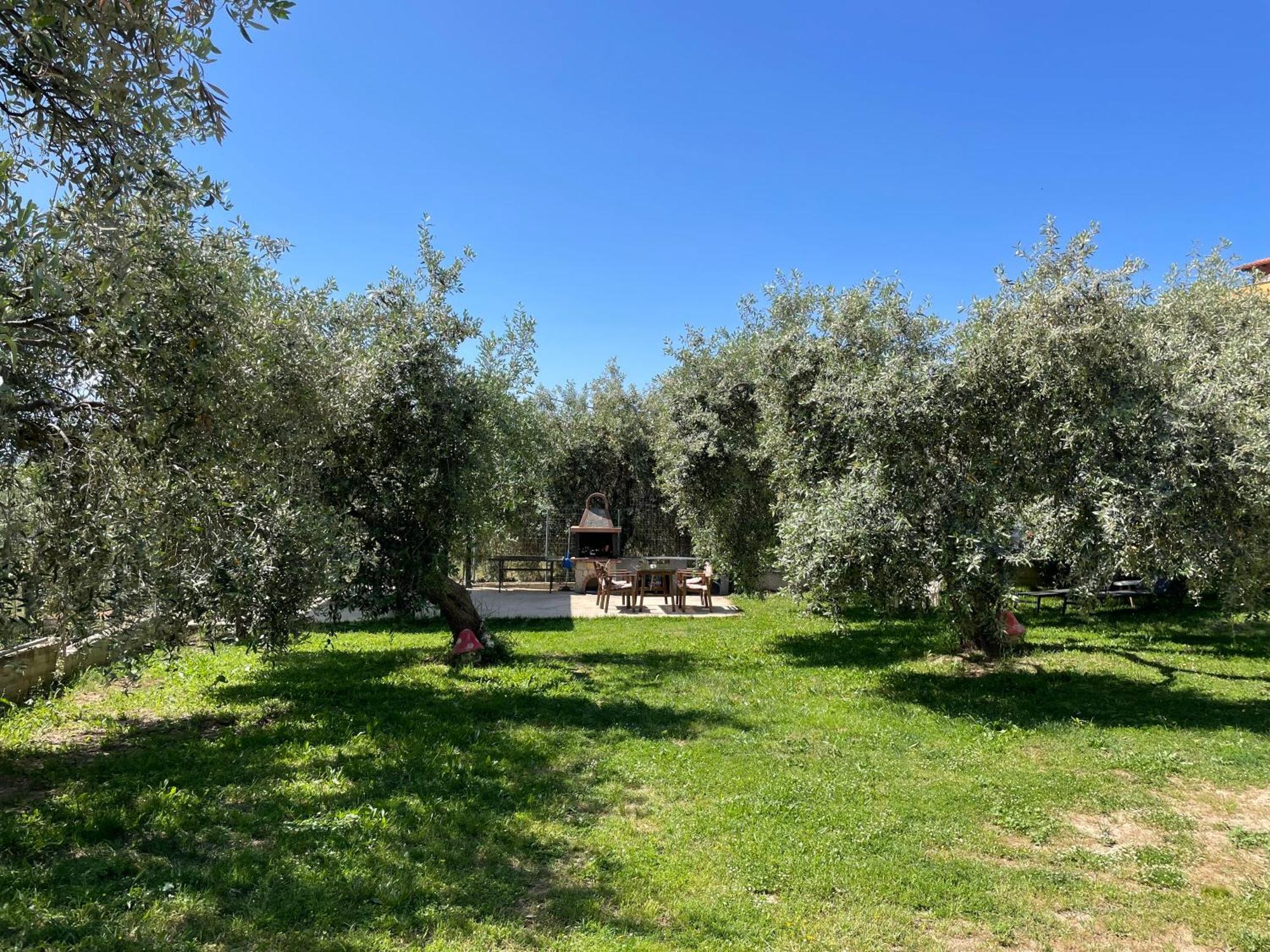 Discovery Villas Limenária Kültér fotó